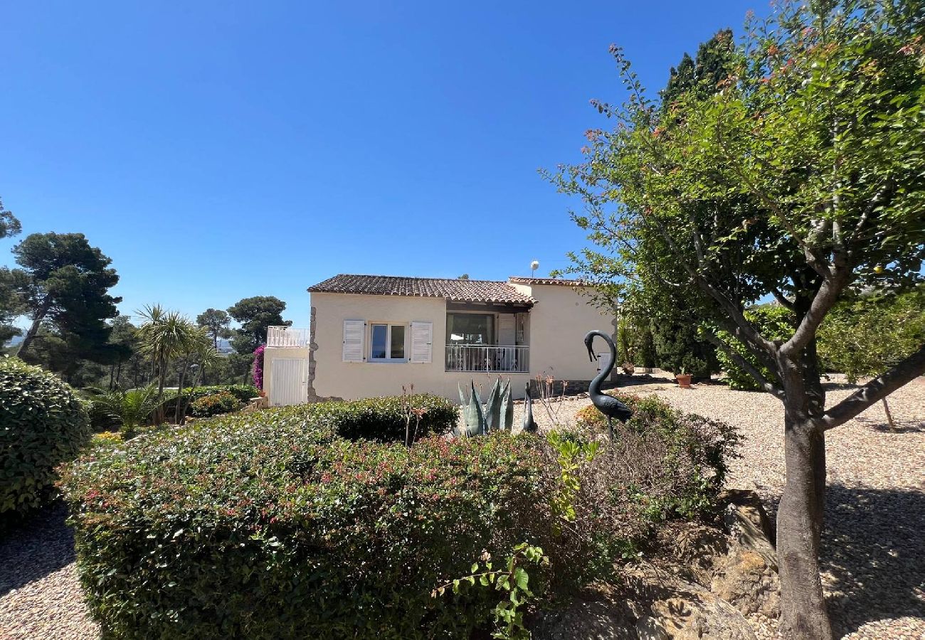 Ferienhaus in Torroella de Montgri - TV 16