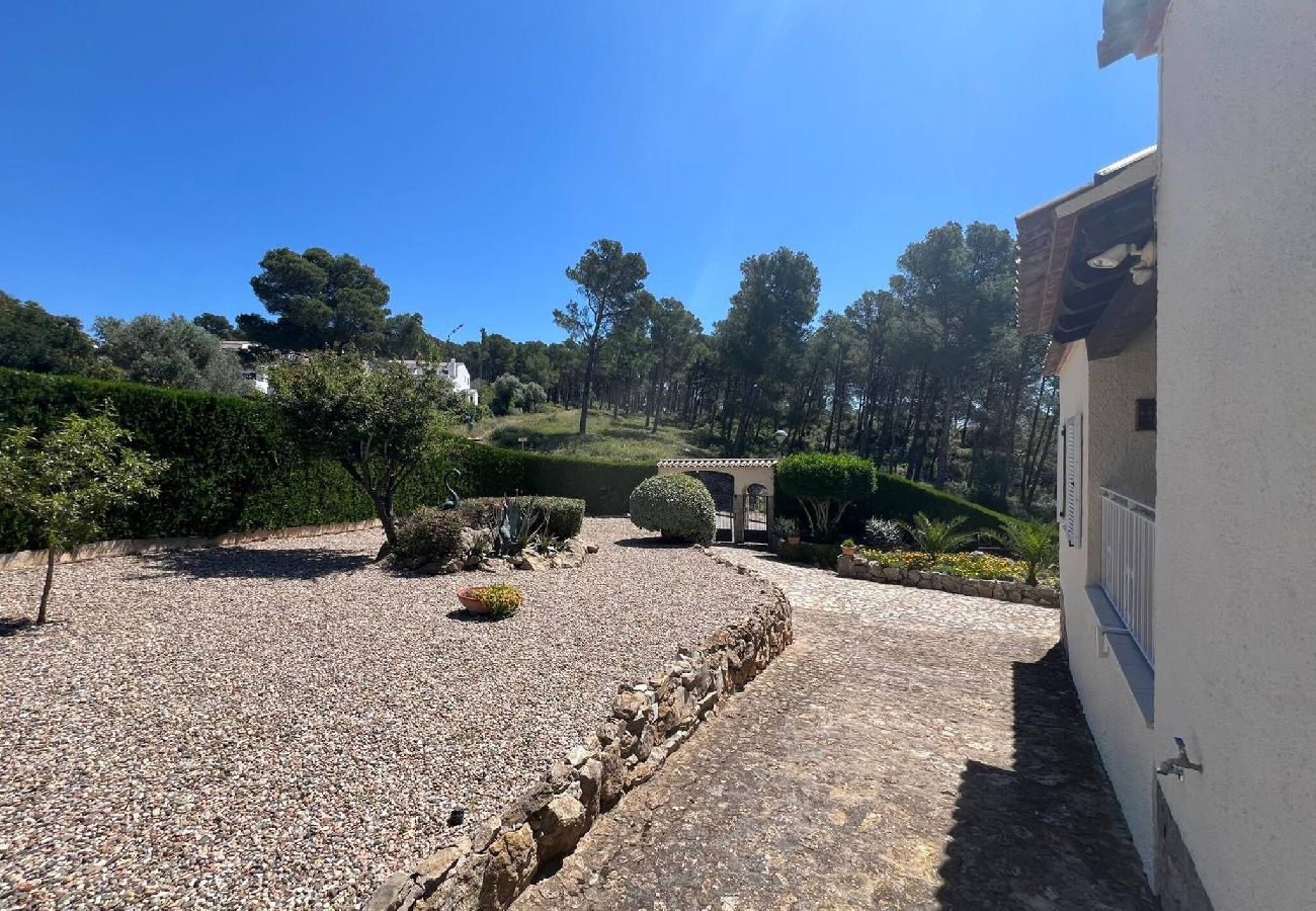 Huis in Torroella de Montgri - TV 16