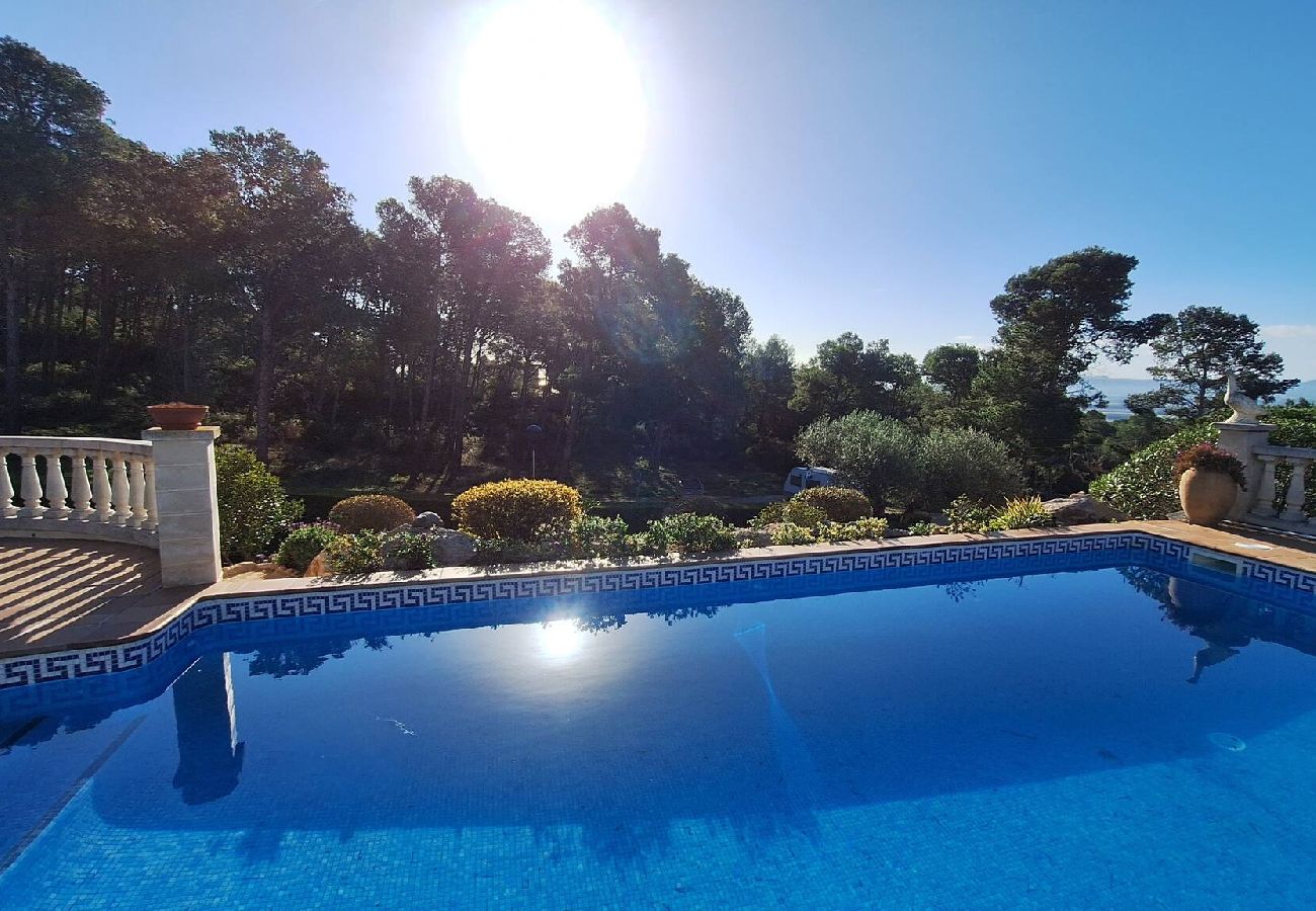 House in Torroella de Montgri - TV 16