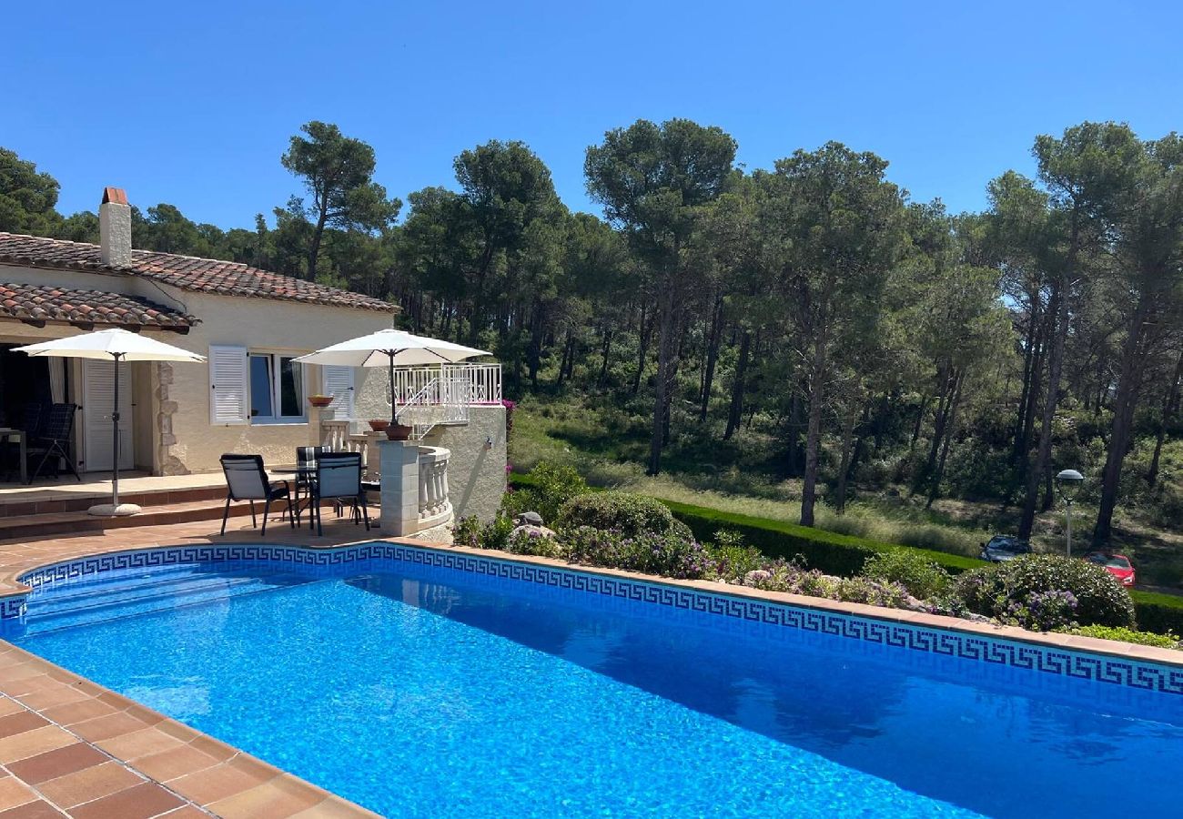House in Torroella de Montgri - TV 16