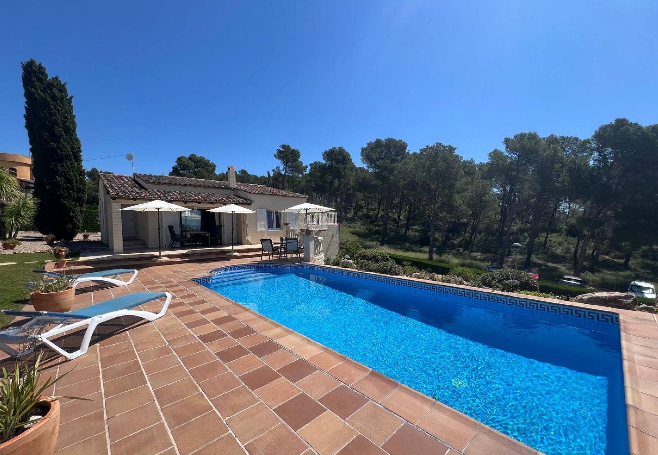 House in Torroella de Montgri - TV 16